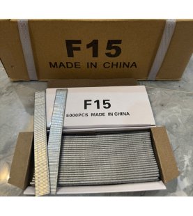 ĐINH THẲNG  F15